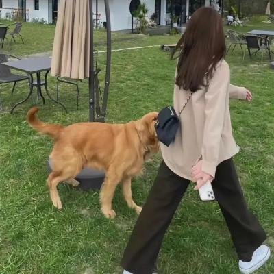 没有窗户的房子